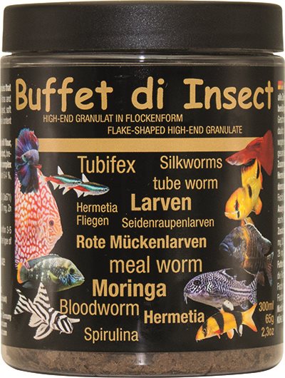 Buffet at Insects